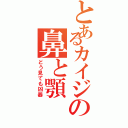 とあるカイジの鼻と顎（どう見ても凶器）