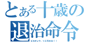 とある十歳の退治命令（ピカチュウ、１０万ボルト！！）