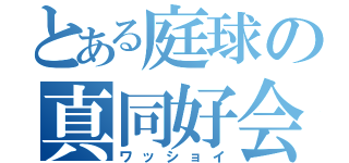 とある庭球の真同好会（ワッショイ）