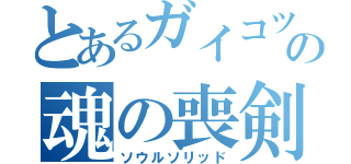 とあるガイコツの魂の喪剣（ソウルソリッド）