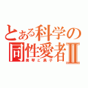 とある科学の同性愛者Ⅱ（美琴と黒子）