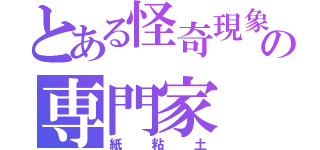 とある怪奇現象の専門家（紙粘土）