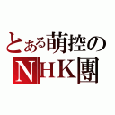 とある萌控のＮＨＫ團（）