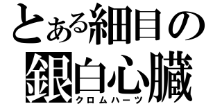 とある細目の銀白心臓（クロムハーツ）