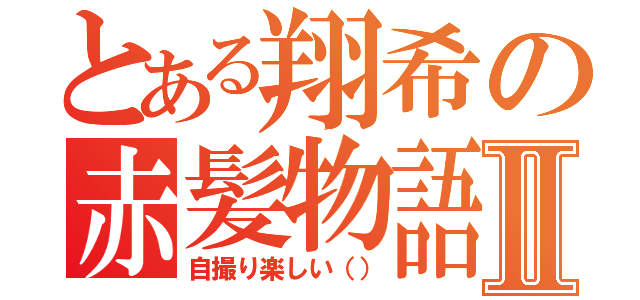 とある翔希の赤髪物語Ⅱ（自撮り楽しい（））