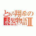 とある翔希の赤髪物語Ⅱ（自撮り楽しい（））