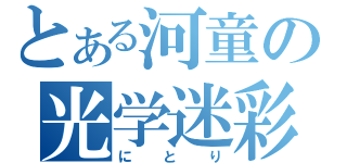 とある河童の光学迷彩（にとり）