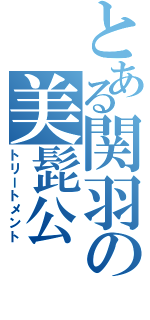 とある関羽の美髭公（トリートメント）