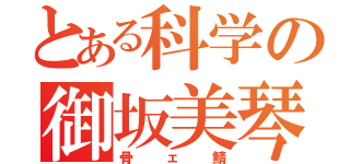 とある科学の御坂美琴（骨ェ鯖）