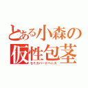 とある小森の仮性包茎（セミカバードペニス）