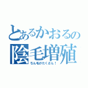 とあるかおるの陰毛増殖（ちん毛がたくさん！）