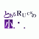 とあるＲＵＣＫの小貓（微笑）