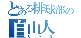 とある排球部の自由人（リベロ）