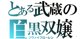 とある武蔵の白黒双嬢（ツヴァイフローレン）