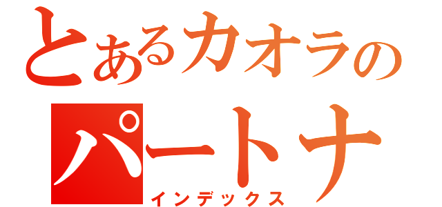 とあるカオラのパートナーの魔術師（インデックス）