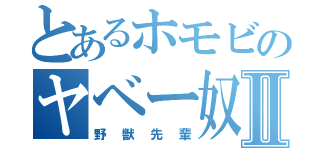 とあるホモビのヤベー奴Ⅱ（野獣先輩）