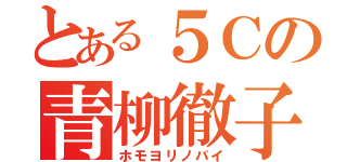 とある５Ｃの青柳徹子（ホモヨリノバイ）