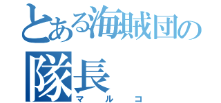 とある海賊団の隊長（マルコ）