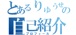 とあるりゅうせいの自己紹介（プロフィール）