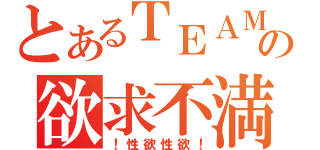 とあるＴＥＡＭの欲求不満（！性欲性欲！）