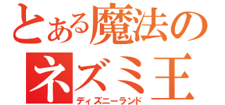 とある魔法のネズミ王国（ディズニーランド）