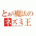 とある魔法のネズミ王国（ディズニーランド）