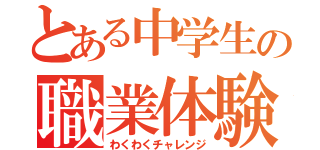 とある中学生の職業体験（わくわくチャレンジ）