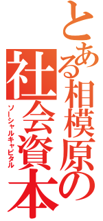 とある相模原の社会資本（ソーシャルキャピタル）