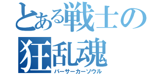 とある戦士の狂乱魂（バーサーカーソウル）