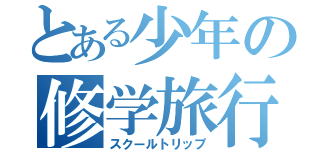 とある少年の修学旅行（スクールトリップ）