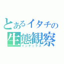 とあるイタチの生態観察（インデックス）