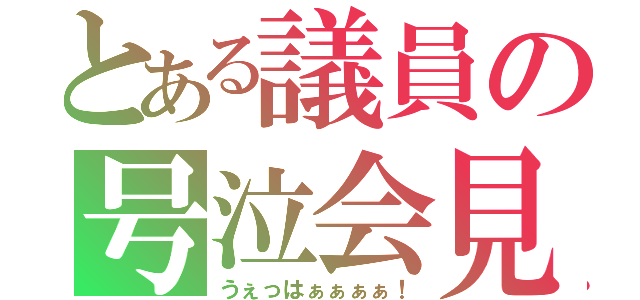 とある議員の号泣会見（うぇっはぁぁぁぁ！）