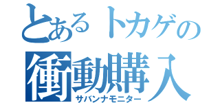 とあるトカゲの衝動購入（サバンナモニター）