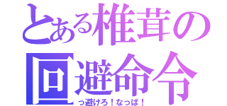 とある椎茸の回避命令（っ避けろ！なっぱ！）