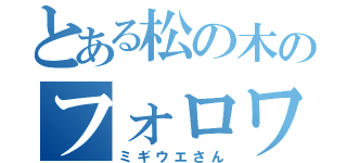 とある松の木のフォロワー様（ミギウエさん）