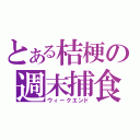 とある桔梗の週末捕食（ウィークエンド）