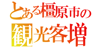 とある橿原市の観光客増加（）