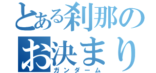 とある刹那のお決まり発言（ガンダーム）