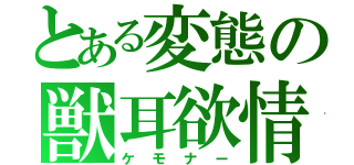 とある変態の獣耳欲情（ケモナー）