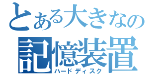 とある大きなの記憶装置（ハードディスク）