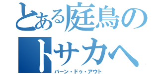 とある庭鳥のトサカヘアー（バーン・ドゥ・アウト）