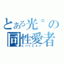 とある光゜の同性愛者（ビバリとルイ）