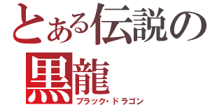 とある伝説の黒龍（ブラック・ドラゴン）