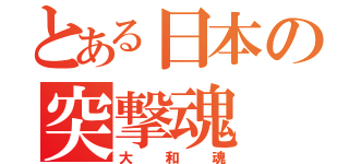 とある日本の突撃魂（大和魂）