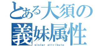 とある大須の義妹属性（ｓｉｓｔｅｒ ａｔｔｒｉｂｕｔｅ）