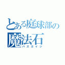 とある庭球部の魔法石（パズガイジ）