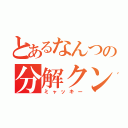 とあるなんつの分解クン（ミャッキー）