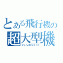 とある飛行機の超大型機（ジャンボジェット）