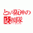 とある阪神の応援隊（ＴＩＧＥＲＳ）