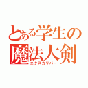 とある学生の魔法大剣（エクスカリバー）